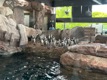 京都水族館に投稿された画像（2026/5/6）
