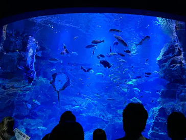 京都水族館に投稿された画像（2026/5/6）