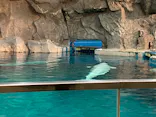 名古屋港水族館に投稿された画像（2026/5/6）