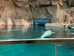 名古屋港水族館に投稿された画像（2026/5/6）