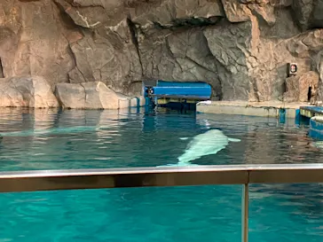 名古屋港水族館に投稿された画像（2026/5/6）
