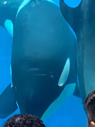 名古屋港水族館に投稿された画像（2026/5/6）