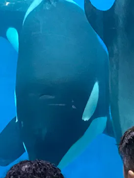 名古屋港水族館に投稿された画像（2026/5/6）