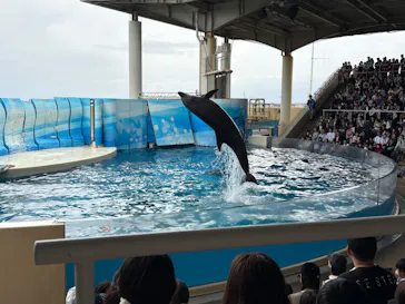 新江ノ島水族館に投稿された画像（2026/5/6）