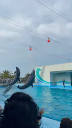 南知多ビーチランド＆南知多おもちゃ王国に投稿された画像（2026/5/6）