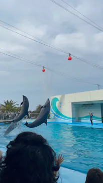 南知多ビーチランド＆南知多おもちゃ王国に投稿された画像（2026/5/6）
