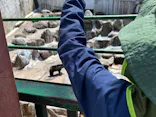 奥飛騨クマ牧場に投稿された画像（2026/5/6）