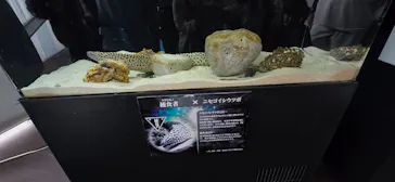 栃木県なかがわ水遊園に投稿された画像（2026/5/6）
