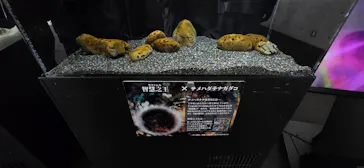 栃木県なかがわ水遊園に投稿された画像（2026/5/6）