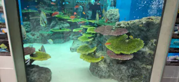 栃木県なかがわ水遊園に投稿された画像（2026/5/6）