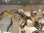 国立科学博物館に投稿された画像（2026/5/6）