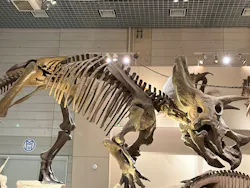 国立科学博物館に投稿された画像（2026/5/6）
