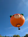 久万高原ふるさと旅行村に投稿された画像（2026/5/6）