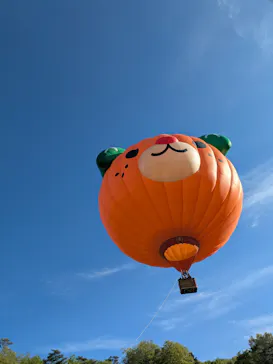 久万高原ふるさと旅行村に投稿された画像（2026/5/6）