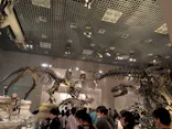 国立科学博物館に投稿された画像（2026/5/6）