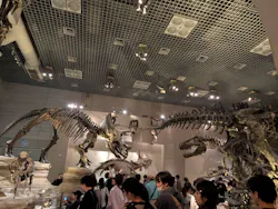 国立科学博物館に投稿された画像（2026/5/6）