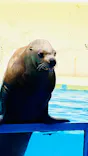伊豆・三津シーパラダイスに投稿された画像（2026/5/6）