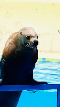 伊豆・三津シーパラダイスに投稿された画像（2026/5/6）
