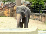 天王寺動物園に投稿された画像（2026/5/6）