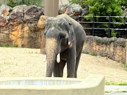 天王寺動物園に投稿された画像（2026/5/6）