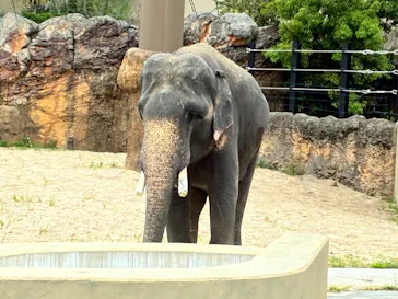 天王寺動物園に投稿された画像（2026/5/6）