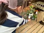 神戸どうぶつ王国に投稿された画像（2026/5/6）