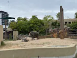 天王寺動物園に投稿された画像（2026/5/6）