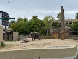 天王寺動物園に投稿された画像（2026/5/6）