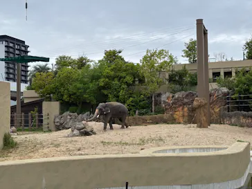 天王寺動物園に投稿された画像（2026/5/6）