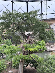 天王寺動物園に投稿された画像（2026/5/6）