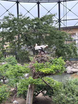 天王寺動物園に投稿された画像（2026/5/6）
