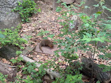 天王寺動物園に投稿された画像（2026/5/6）