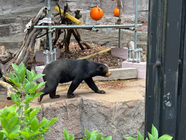 天王寺動物園に投稿された画像（2026/5/6）