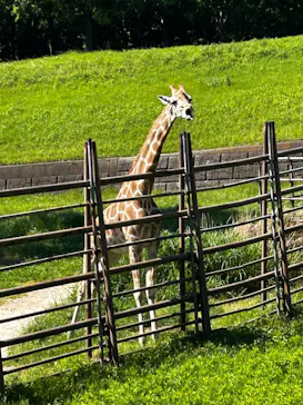 千葉市動物公園に投稿された画像（2026/5/6）