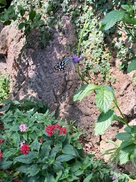 多摩動物公園に投稿された画像（2026/5/6）
