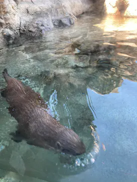 多摩動物公園に投稿された画像（2026/5/6）
