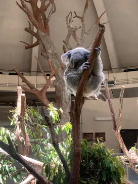 多摩動物公園に投稿された画像（2026/5/6）
