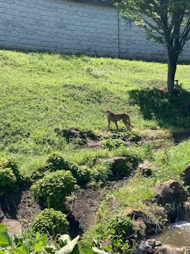 多摩動物公園に投稿された画像（2026/5/6）