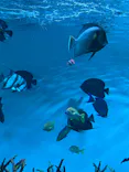 葛西臨海水族園に投稿された画像（2026/5/6）