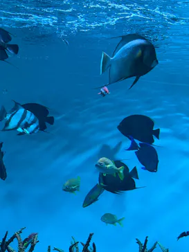 葛西臨海水族園に投稿された画像（2026/5/6）