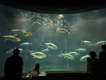 葛西臨海水族園に投稿された画像（2026/5/6）