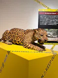 特別展「超危険生物展　科学で挑む生き物の本気」に投稿された画像（2026/5/6）