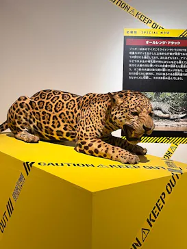 特別展「超危険生物展　科学で挑む生き物の本気」に投稿された画像（2026/5/6）