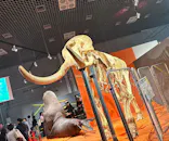 特別展「超危険生物展　科学で挑む生き物の本気」に投稿された画像（2026/5/6）