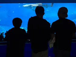 沖縄美ら海水族館に投稿された画像（2026/5/6）