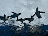 サンシャイン水族館に投稿された画像（2026/5/6）