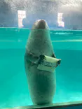 下田海中水族館に投稿された画像（2026/5/6）