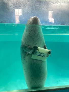 下田海中水族館に投稿された画像（2026/5/6）