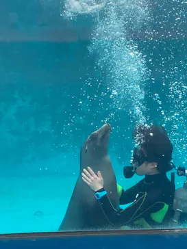 下田海中水族館に投稿された画像（2026/5/6）