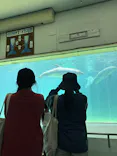 南知多ビーチランド＆南知多おもちゃ王国に投稿された画像（2026/5/6）